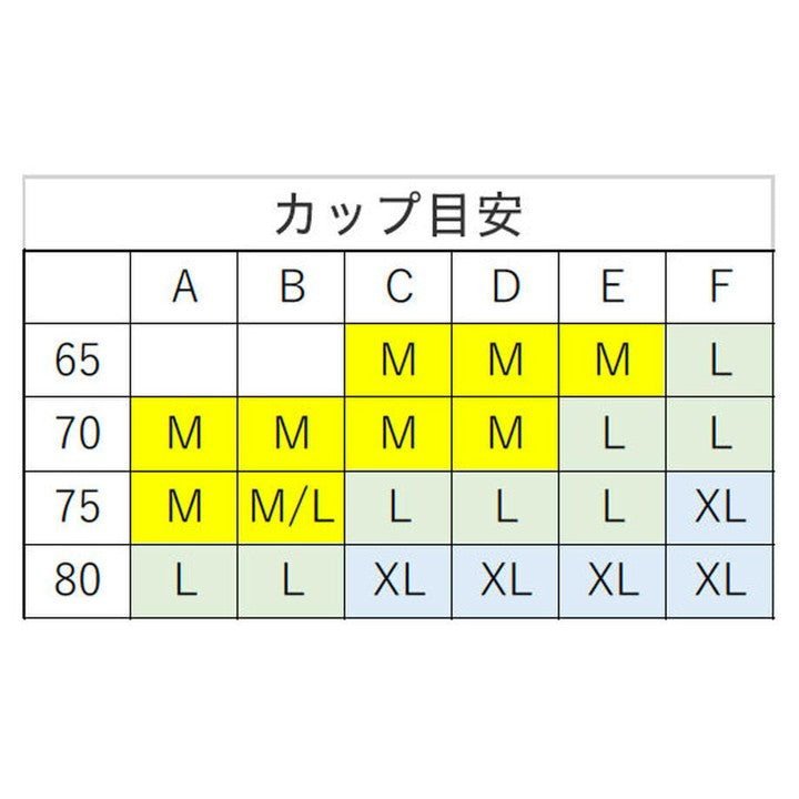 ★エブリデイ吸水ショーツとブラ＜ブラック＞