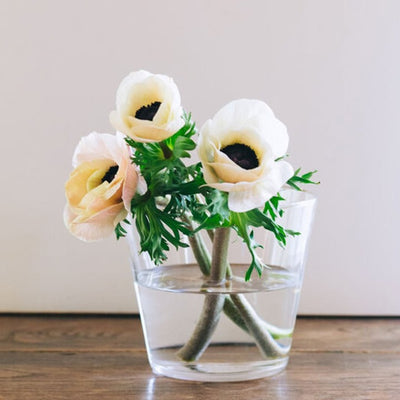 ★【追加販売】ミモレ別注・Sghrフラワーベース２種セット【期間限定】