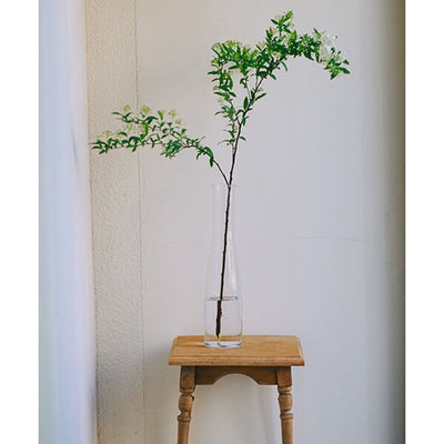 ★【追加販売】ミモレ別注・Sghrフラワーベース２種セット【期間限定】