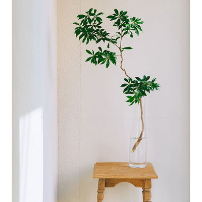 ★【追加販売】ミモレ別注・Sghrフラワーベース２種セット【期間限定】