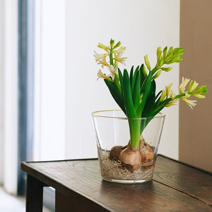 ★【追加販売】ミモレ別注・Sghrフラワーベース２種セット【期間限定】