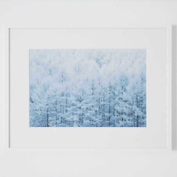 酒井貴生さんのランドスケープ写真【フレーム入り】