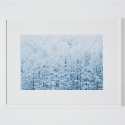 酒井貴生さんのランドスケープ写真【フレーム入り】