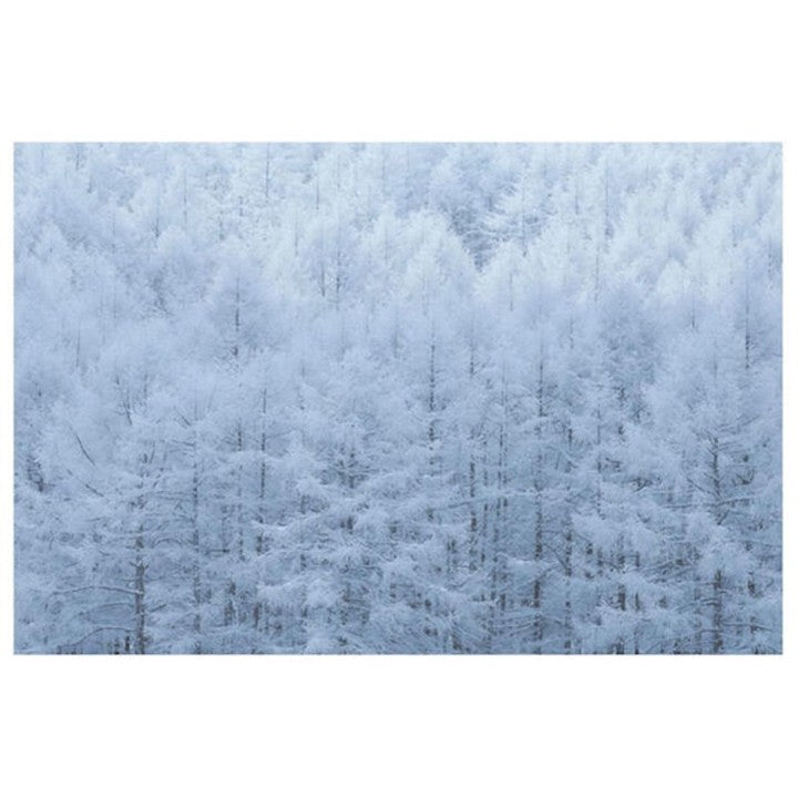 酒井貴生さんのランドスケープ写真【フレーム入り】